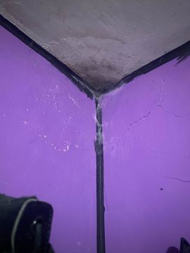 Inspección y eliminación de moho