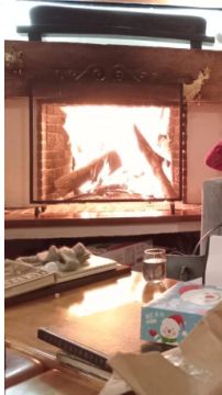 Fireplace Service