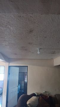 Inspección y eliminación de moho