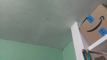 Mold Inspection and Removal