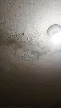 Inspección y eliminación de moho