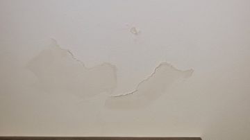 Mold Inspection and Removal
