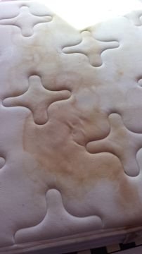 Upholstery and Furniture Cleaner