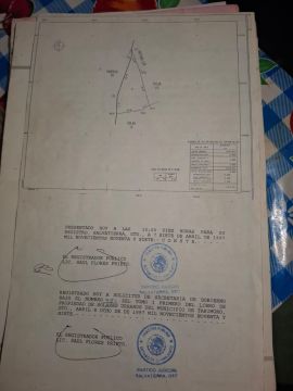 Land Surveyor