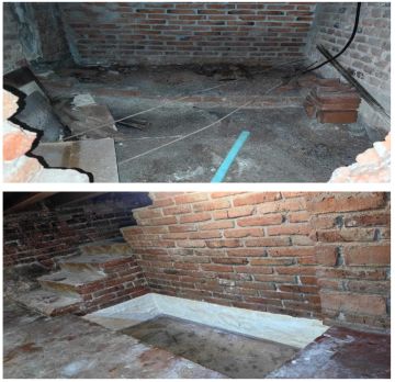 Mold Removal Expert