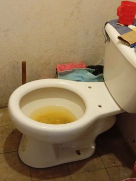 Plomero para mantenimiento o reparación de plomería exterior