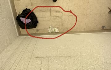 Mold Inspection and Removal