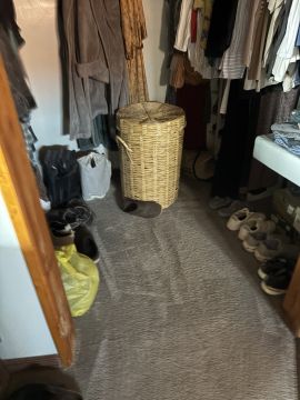 Carpet Cleaner
