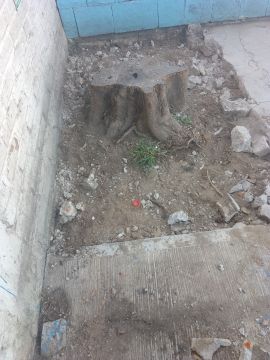 Jardinería