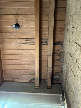 Mold Removal Expert