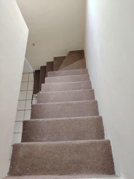 Carpet Specialist