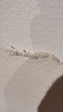 Mold Inspection and Removal - Cleaning