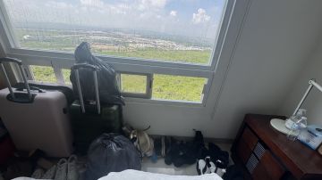 Home Organization