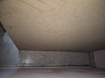 Cleaning - Domestic Services
