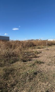Land Clearance
