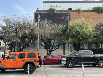 Tree Trimming and Maintenance