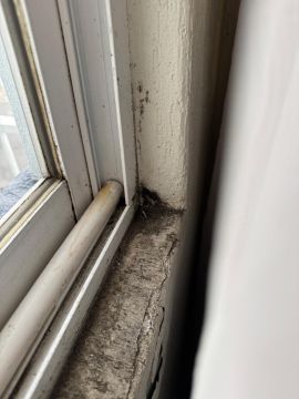 Cleaning - Domestic Services