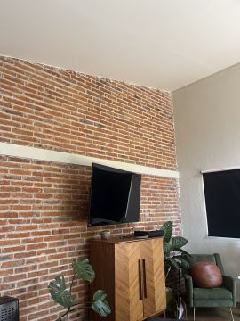 Mold Removal Expert