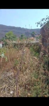Land Clearance