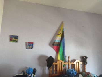 Mural Artist