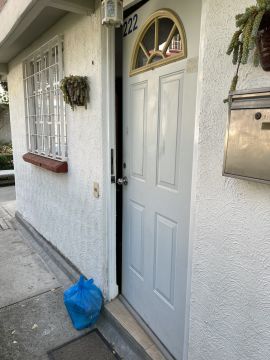 Door Painter