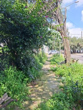 Land Clearance