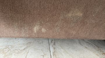 Experto en eliminación de moho - Servicios Domésticos