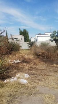 Empresa de limpieza de terrenos