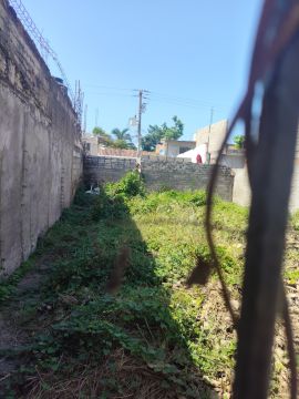Empresa de limpieza de terrenos