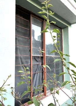 Window Repair