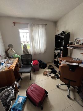 Mold Removal Expert - Domestic Services