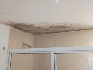 Inspección y eliminación de moho