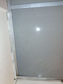 Mold Removal Expert - Domestic Services