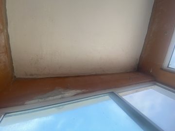 Inspección y eliminación de moho
