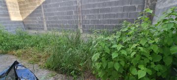 Jardinero para deshierbar