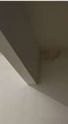 Mold Inspection and Removal - Cleaning