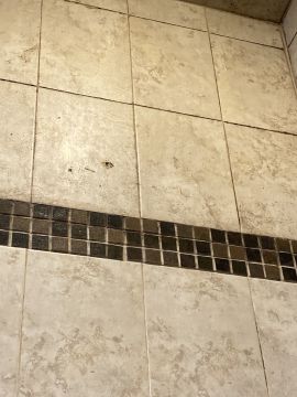 Inspección y eliminación de moho
