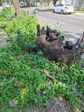 Land clearance specialist