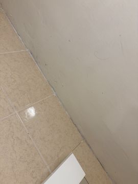 Mold Inspection and Removal - Cleaning