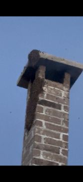 Chimney Cleaner