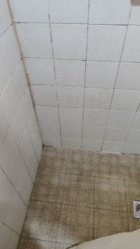 Inspección y eliminación de moho