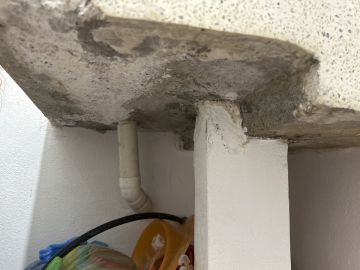 Inspección y eliminación de moho