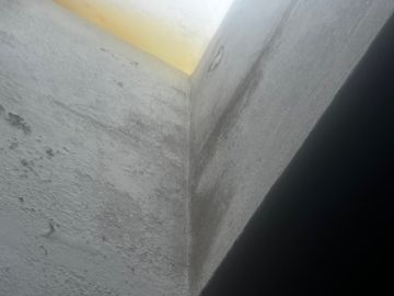 Mold Removal Expert