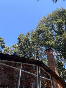 Tree Trimmer