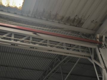 Inspección y eliminación de moho