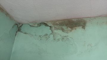 Inspección y eliminación de moho