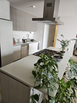 Countertop Repair or Maintenance - Furniture