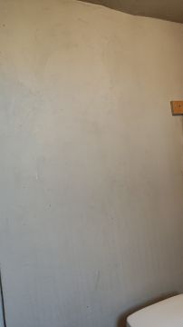 Mold Removal Expert