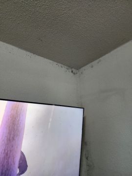 Cleaning