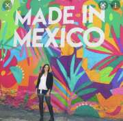 Pintor de murales - Hogar